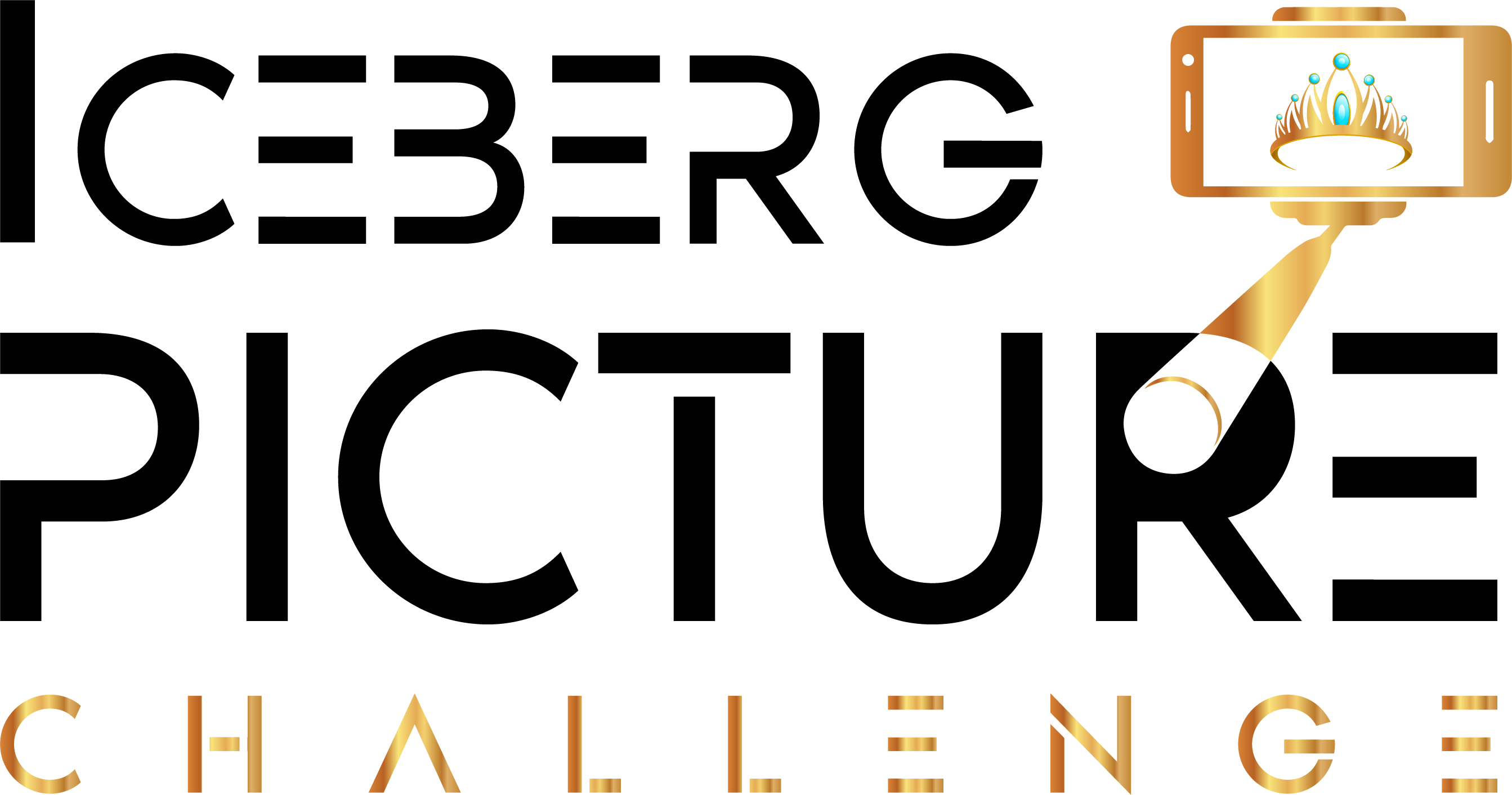 Iceberg Picture Challenge (IPC)